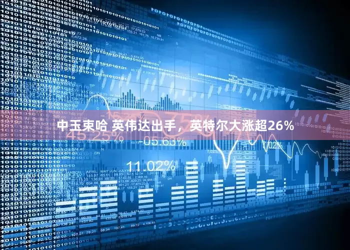 中玉束哈 英伟达出手，英特尔大涨超26%